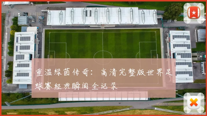 重温绿茵传奇：高清完整版世界足球赛经典瞬间全记录